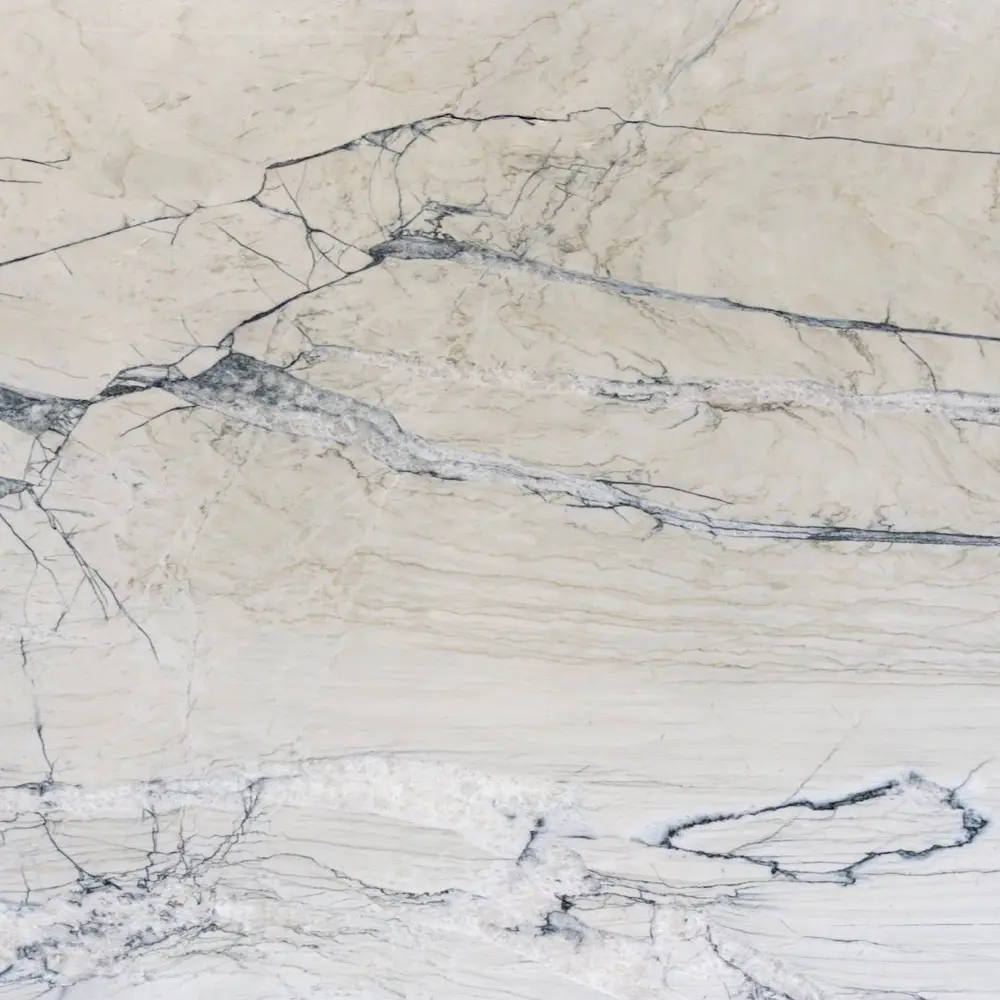 Calacatta Giotto Quartzite countertop surface
