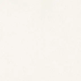 Arctic White