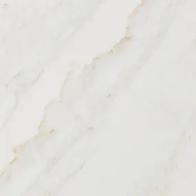 Calacatta Premata MSI quartz countertop sample
