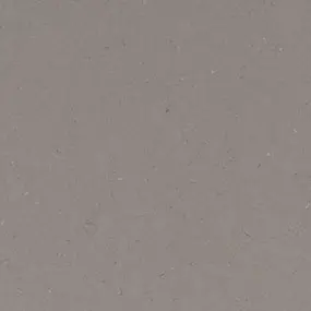 Fossil Gray MSI quartz countertop sample