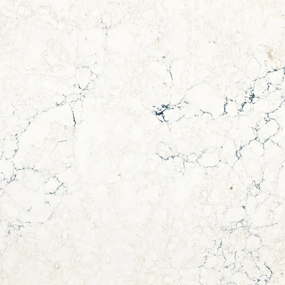 Travella Quartz countertop surface