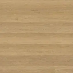 Ashton™ 2.0 Bayshore Linen MSI luxury vinyl flooring sample