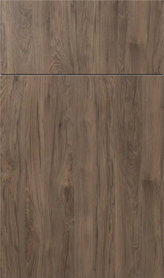catalina Hickory Rock cabinet door sample