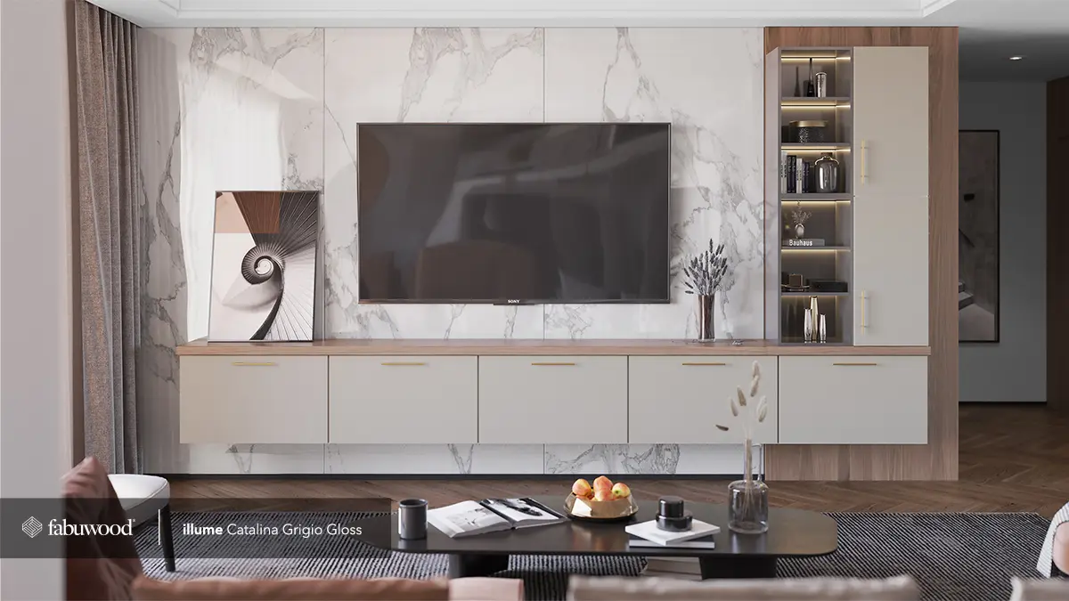 Contemporary built-in storage